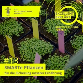 13th episode: SMART plants for securing our food supply
