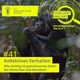 episode 41: How important is eating together for humans and bonobos?